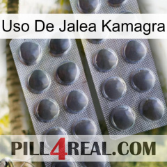 Kamagra Jelly Use 31